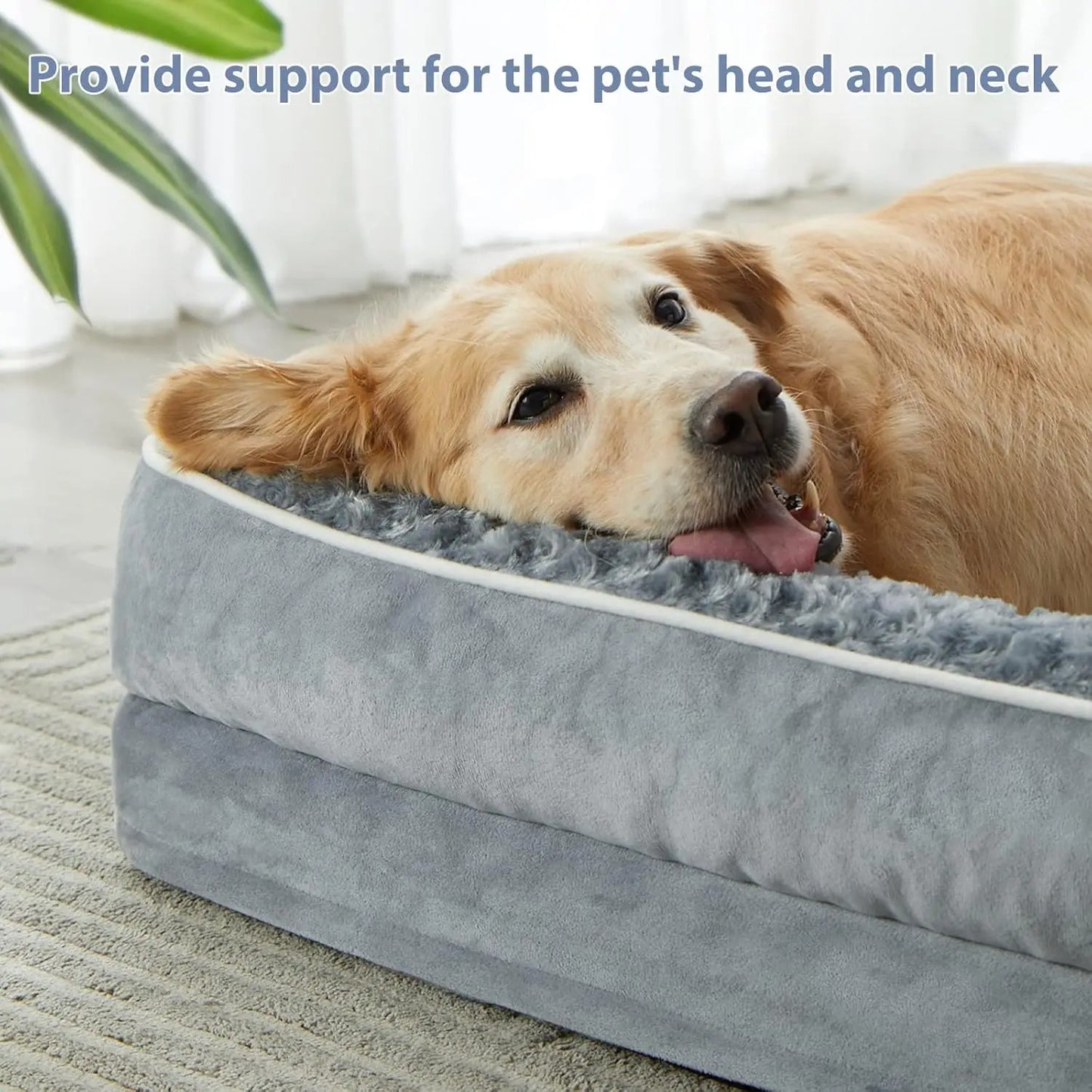 Haven Bolstered Dog Bed