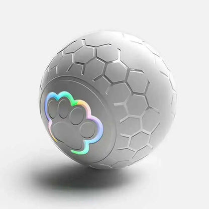 Tail & Timber RGB Interactive Bouncing Dog Ball