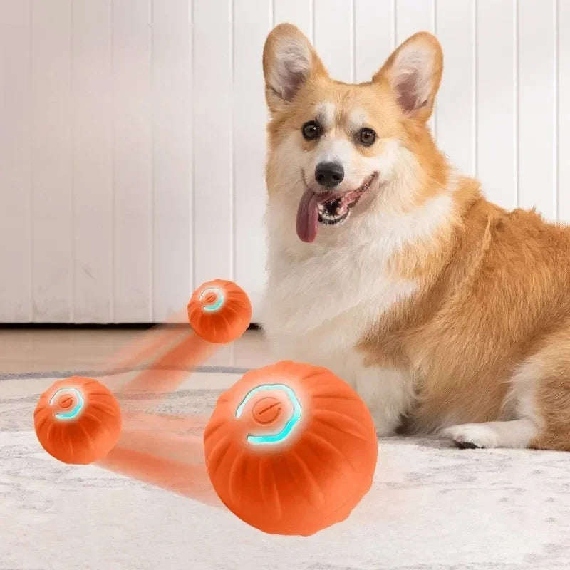 Tail & Timber Interactive Bouncing Dog Ball