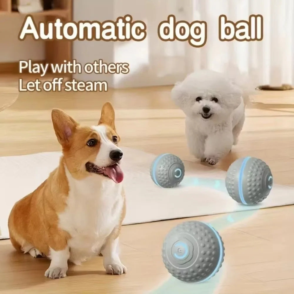 Tail & Timber USB Rechargeable Jumping Dog Ball