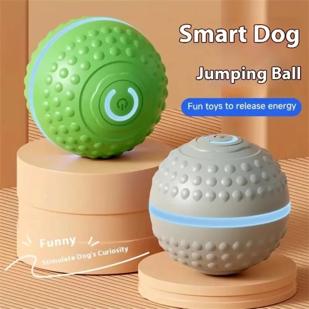 Tail & Timber USB Rechargeable Jumping Dog Ball