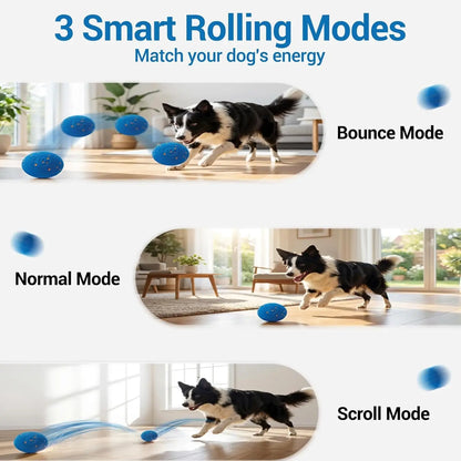 Tail & Timber Interactive Smart Dog Ball