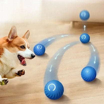 Tail & Timber Interactive Bouncing Dog Ball