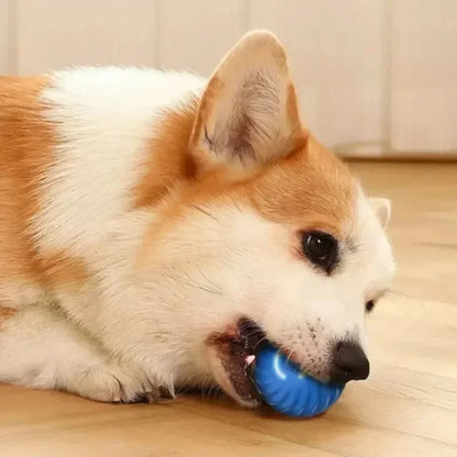 Tail & Timber Interactive Bouncing Dog Ball