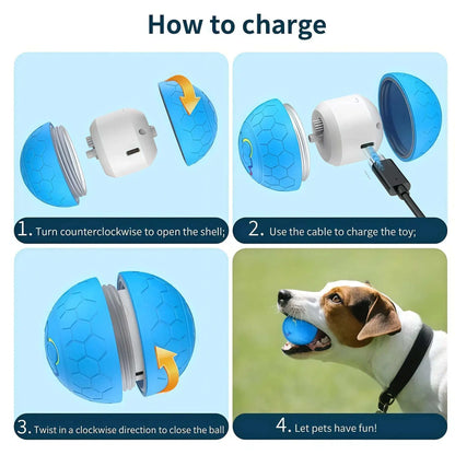 Tail & Timber RGB Interactive Bouncing Dog Ball