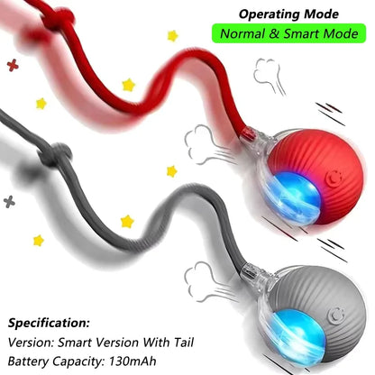 Tail & Timber Interactive Smart Dog Ball