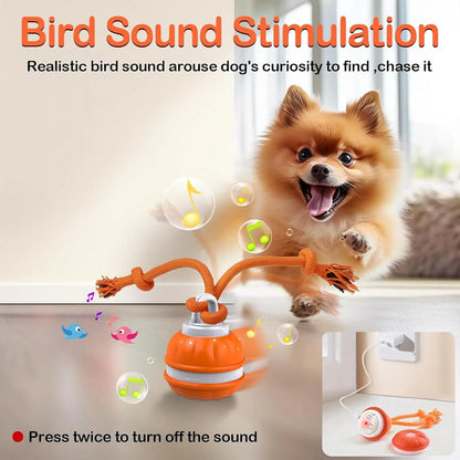 Tail & Timber Interactive Rolling Rope Ball