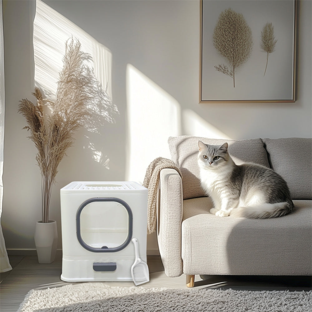 Tail & Timber™ Modern Top-Entry Enclosed Cat Litter Box