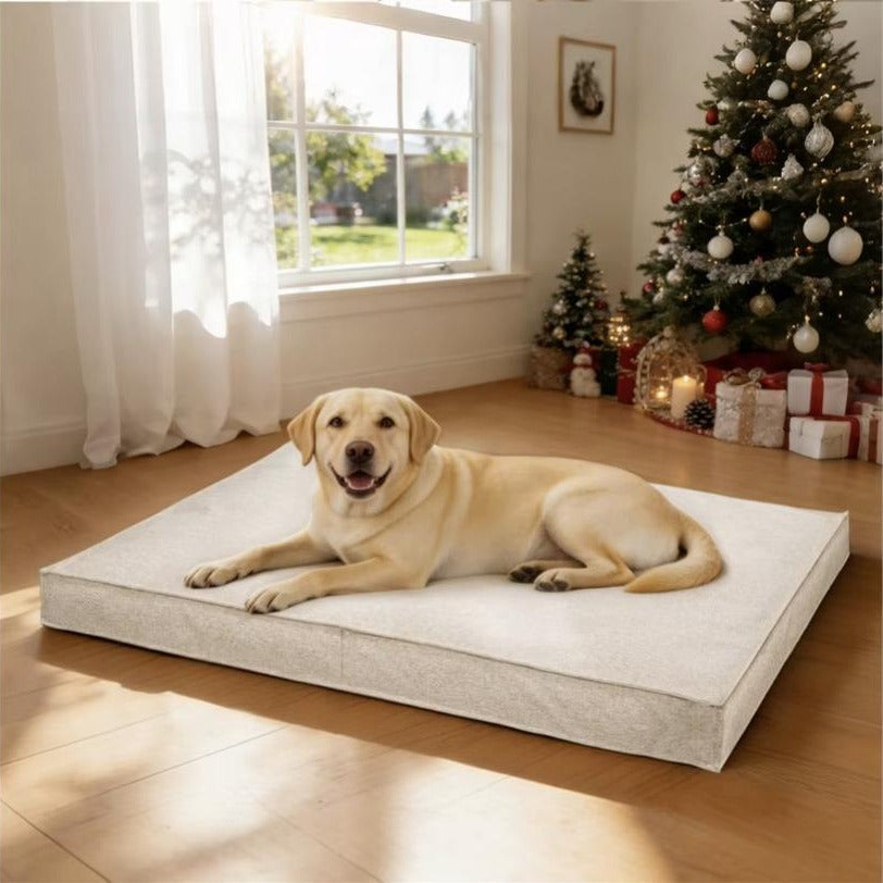 Linen dog bed in Beige with labrador