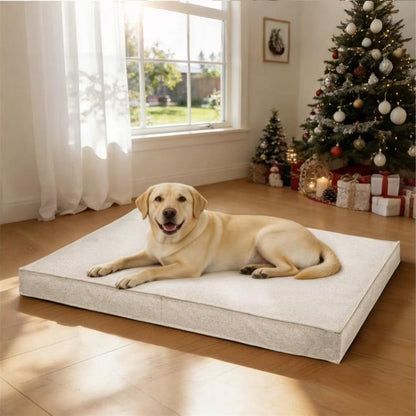 Linen dog bed in Beige with labrador