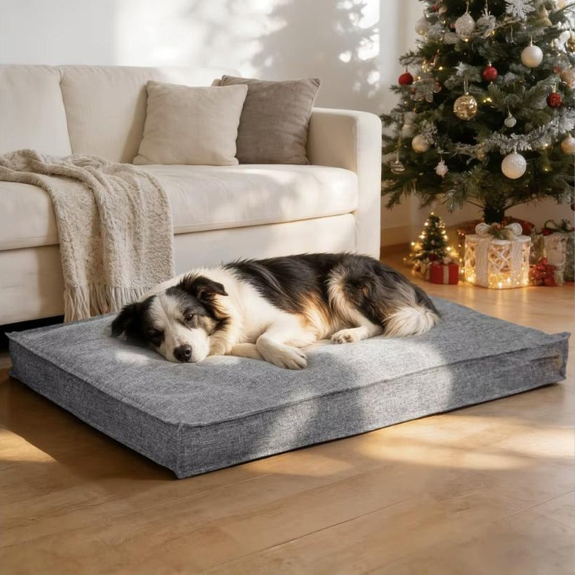 Dog sleeping on Grey pillow dog bed