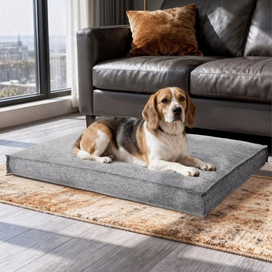 Washable linen dog bed in Grey with beagle relaxing